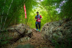 BIB: 
                            <button type="button" onclick="openModal(22092593)" class="btn btn-primary btn-sm float-right btn-popup" data-toggle="modal" data-target=".modal-high-quality">
                        <i class="fas fa-shopping-cart"></i> Add to Cart
                    </button>
                                            <button type="button" onclick="isThisMe(22092593, true)" class="btn btn-success btn-sm float-right btn-popup btn-isme hidden" data-toggle="tooltip" data-placement="bottom" title="นี่คือรูปของคุณใช่ไหม คลิกที่นี่เพื่อเอาเข้าอัลบั้ม">
                        <i class="fas fa-plus"></i> Add to album
                    </button>
                    <button type="button" onclick="isThisMe(22092593, false)" class="btn btn-warning btn-sm float-right btn-popup btn-isnotme hidden">
                        <i class="fas fa-ban"></i> Remove from album
                    </button>